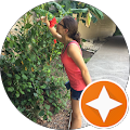 Zorana M. Avatar