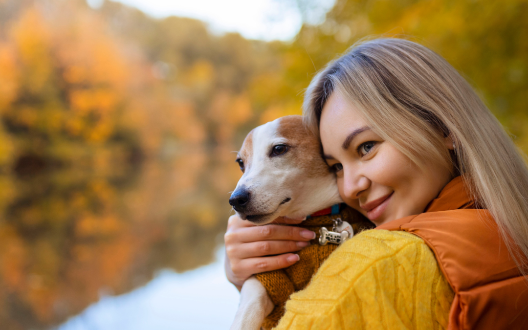 Signs Your Pet Needs a Dental Exam (And What to Do About It)