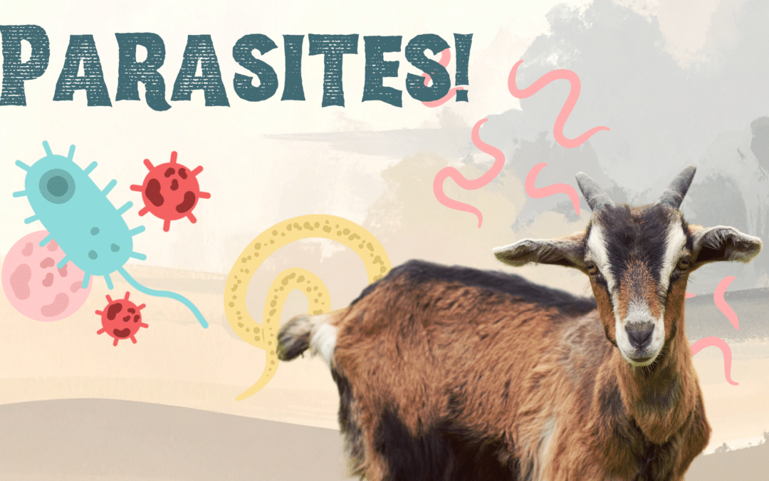 What Animal Owners Should Know About Parasites in Cave Spring, GA